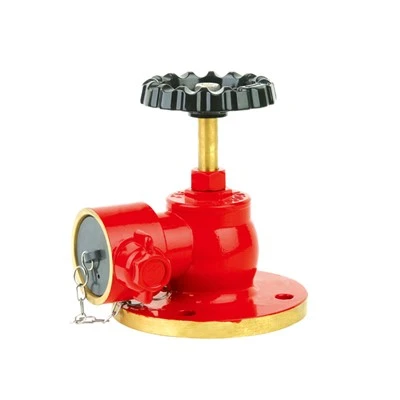 Falf Glanio Hydrant Tân Flanged Math DN65